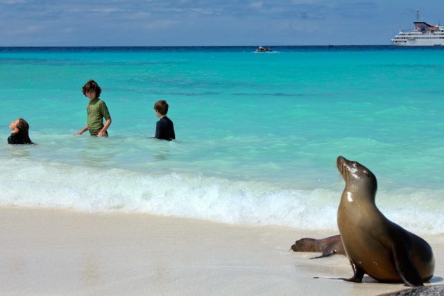 The Galapagos Islands are great for kids - swim in the Galapagos almost always includes sea lions