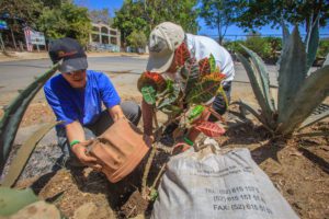 planting a garden to improve the sustainability of family travel