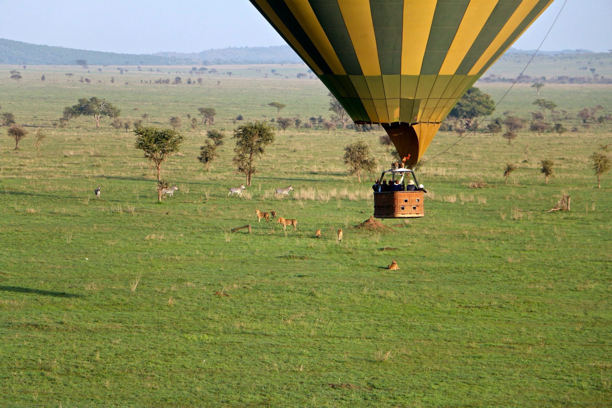 hot air balloon on a family safari