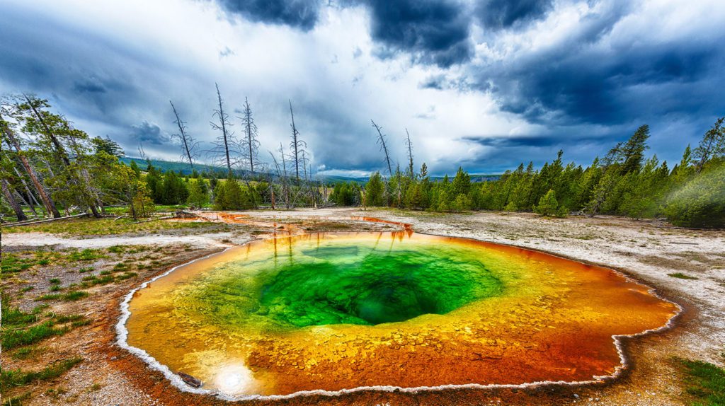 Morning Glory thermal spring, Yellowstone National Park
