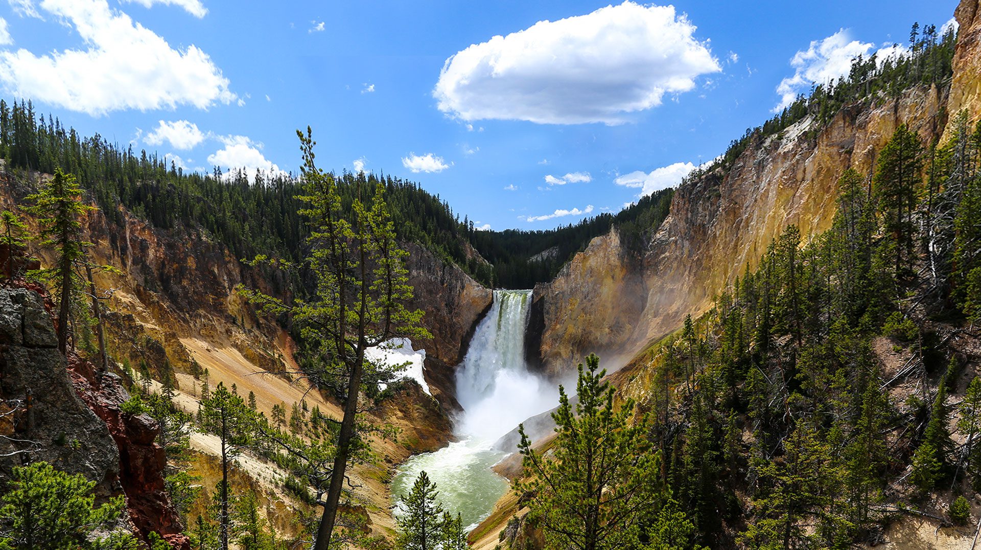 Yellowstone Summer Family Adventure - Thomson Family Adventures