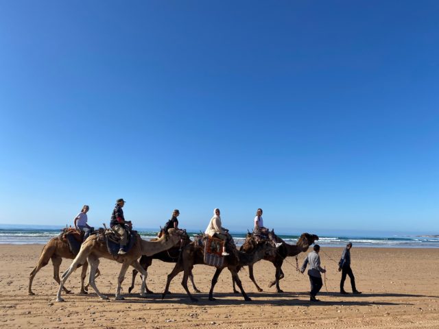 ride camels on a beach in morocco